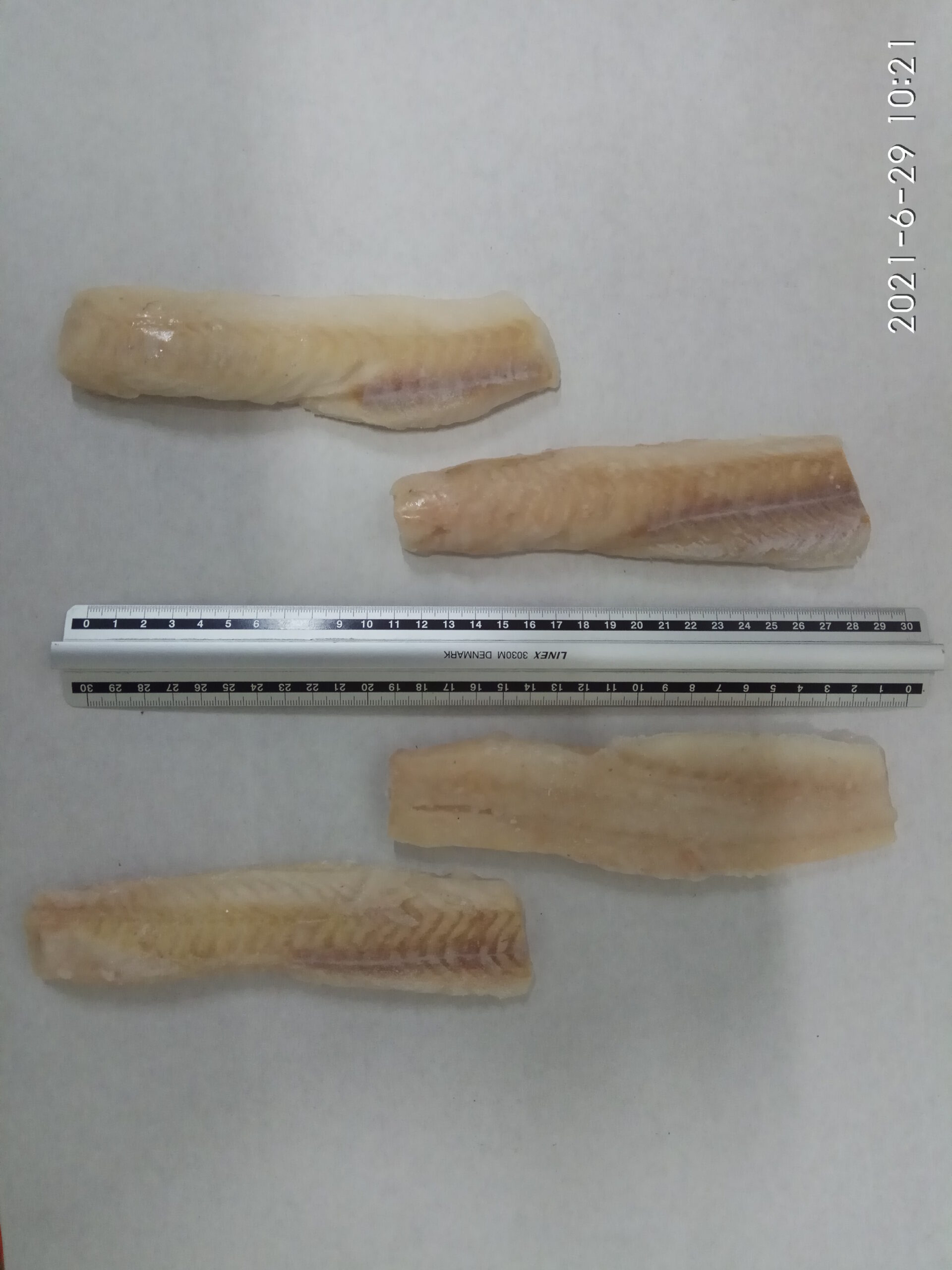 Mintaifilee, nahata, seljaosa ( Loins )