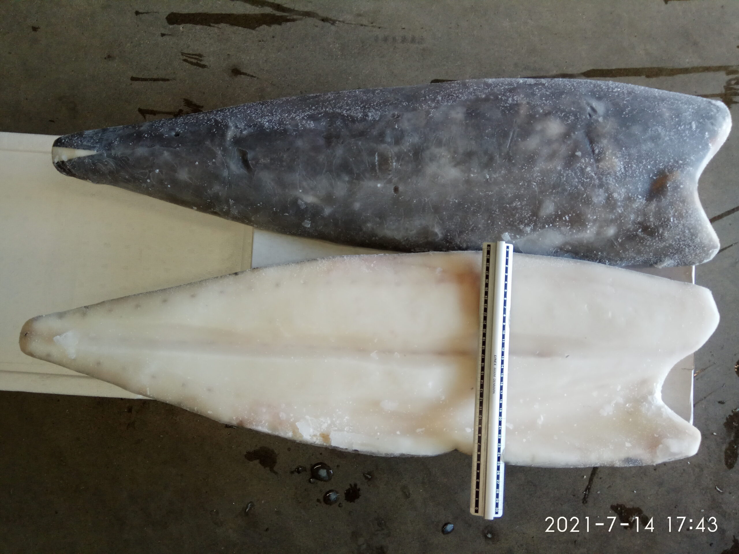 Võikala filee nahaga