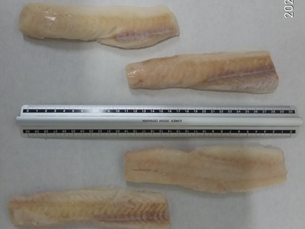 Mintaifilee, nahata, seljaosa ( Loins )